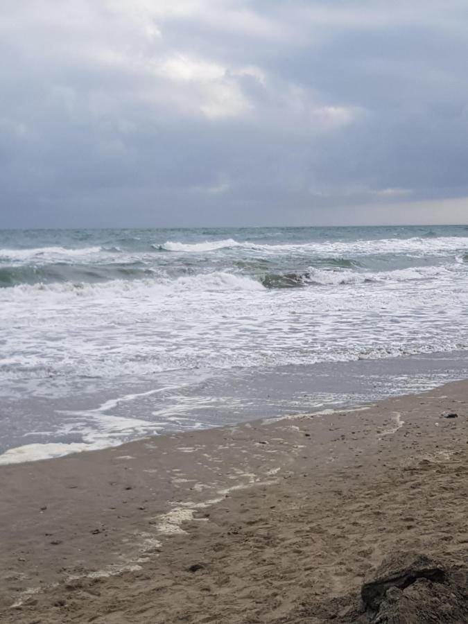 La Rose Des Sables, T2 A La Mer, Terrasse Et Garage Frontignan Kültér fotó