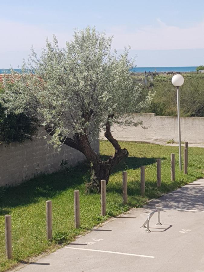 La Rose Des Sables, T2 A La Mer, Terrasse Et Garage Frontignan Kültér fotó