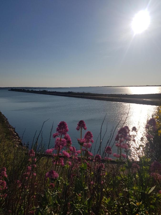 La Rose Des Sables, T2 A La Mer, Terrasse Et Garage Frontignan Kültér fotó