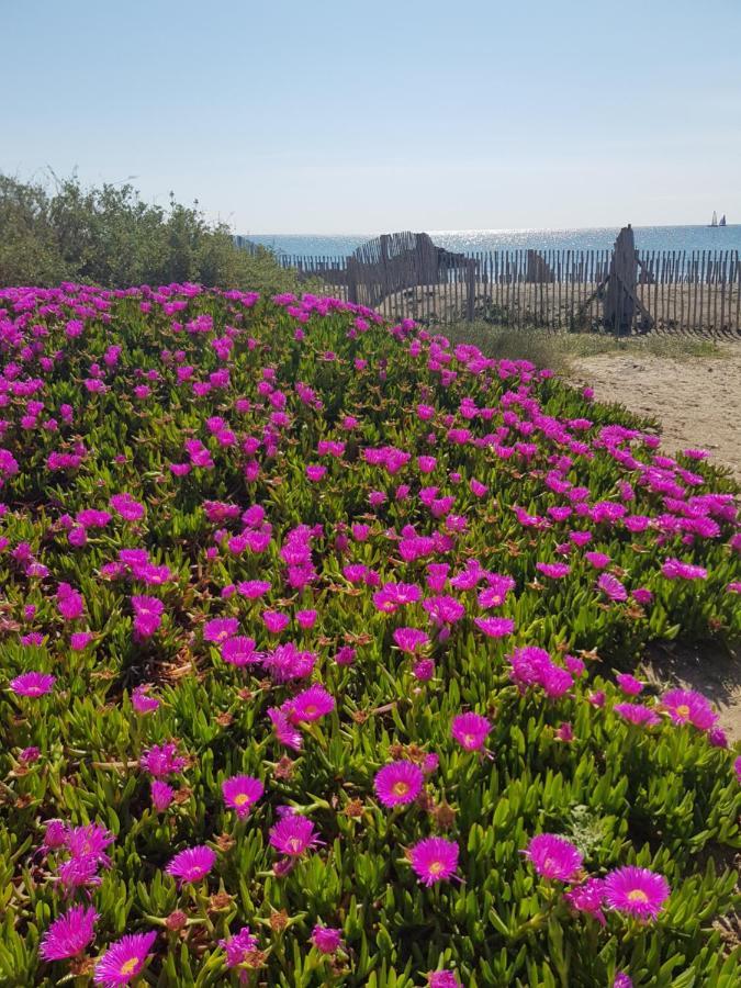 La Rose Des Sables, T2 A La Mer, Terrasse Et Garage Frontignan Kültér fotó