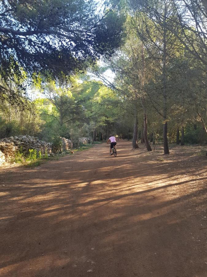 La Rose Des Sables, T2 A La Mer, Terrasse Et Garage Frontignan Kültér fotó